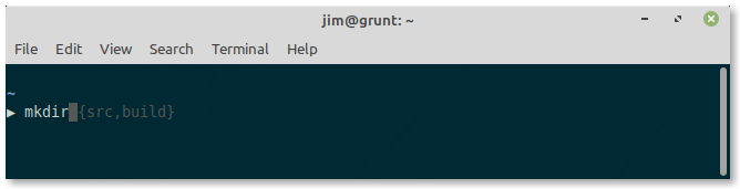 Autosuggestions with Oh My Zsh